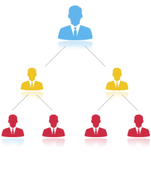 MLM Software Development